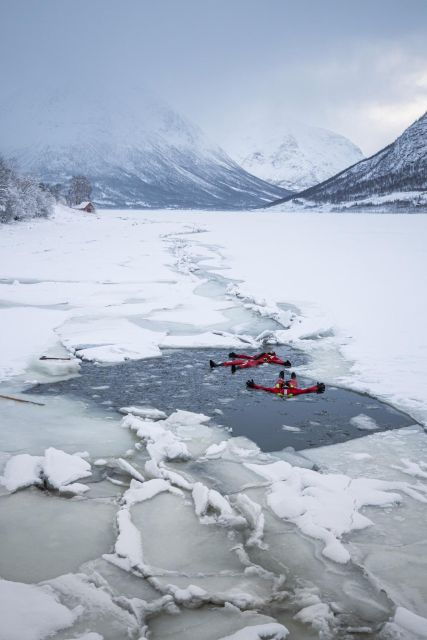 Tromsø: Arctic Floating with Snacks and Drinks