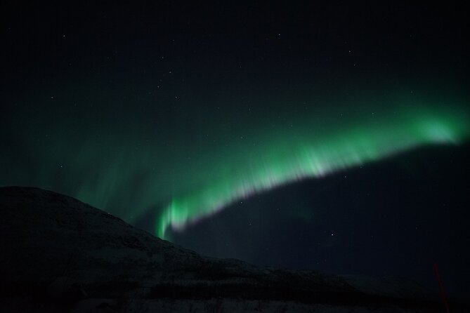 Tromsø: Evening Cruise with Northern Lights Opportunity - Good To Know