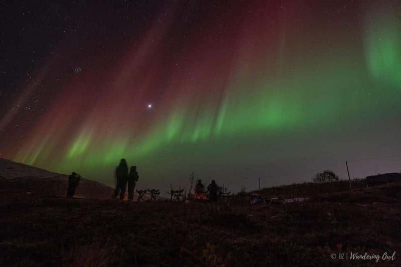 Tromsø: Express Aurora Hunt - The Drive into the Arctic Wilderness