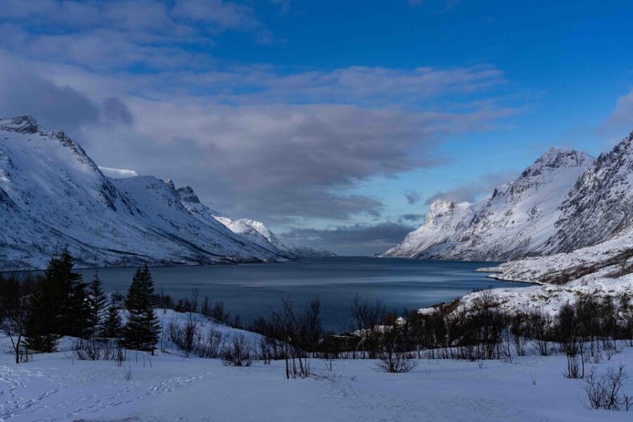 Tromsø: Fjords & Beaches Tour with campfire and photos - An In-Depth Review of the Tromsø Fjords & Beaches Tour