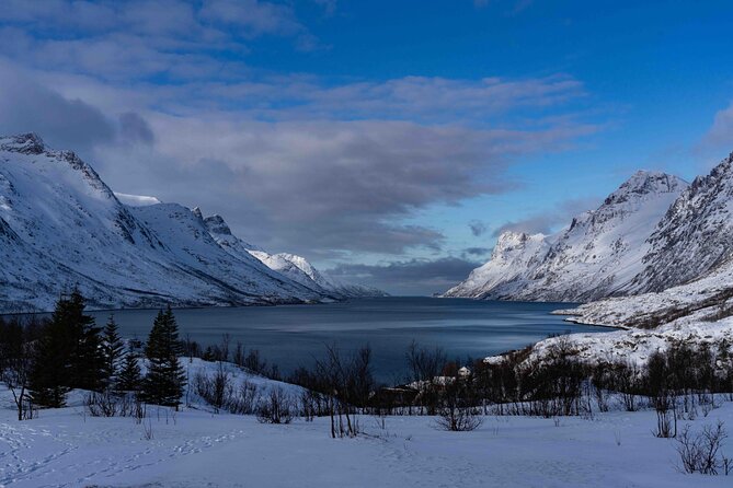 Tromsø: Fjords Tour with campfire and photos - Good To Know