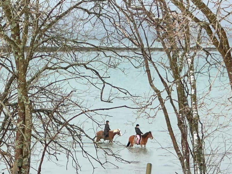 Tromsø: Horseback Riding Tour - Getting to Know the Tromsø Horseback Riding Tour