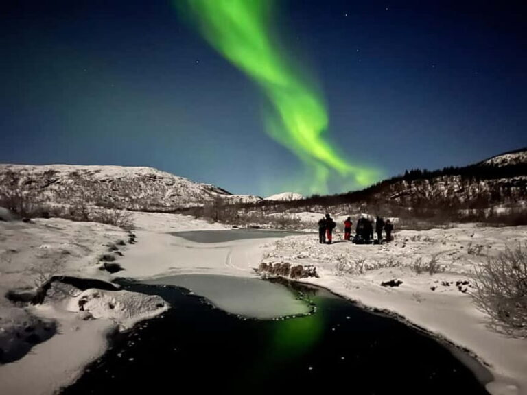 Tromsø: Northern Lights Focus Tour, German/English, minibus, meal