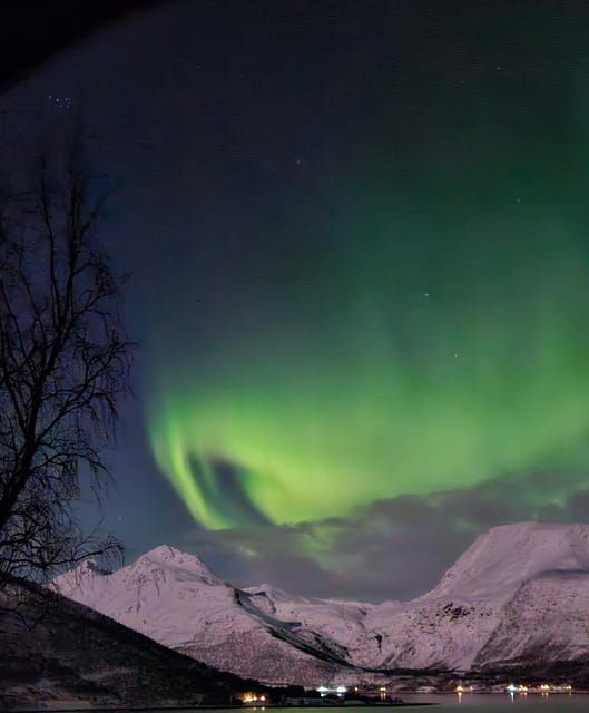 Tromsø: Northern Lights Hunt, private tour - An In-Depth Look at the Tour Experience
