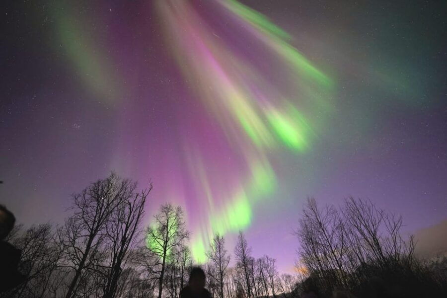 Tromso: Northern Lights Minibus Tour with Campfire - Analyzing the Experience: What to Expect from Start to Finish