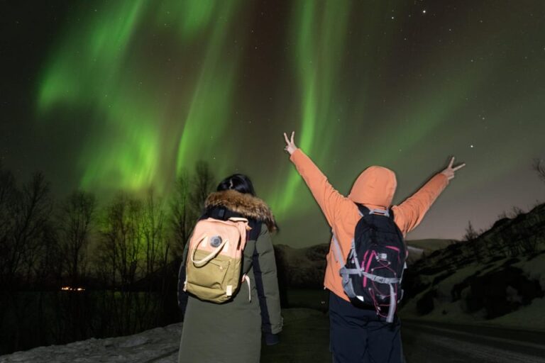 Tromsø: Northern Lights tour with local experts