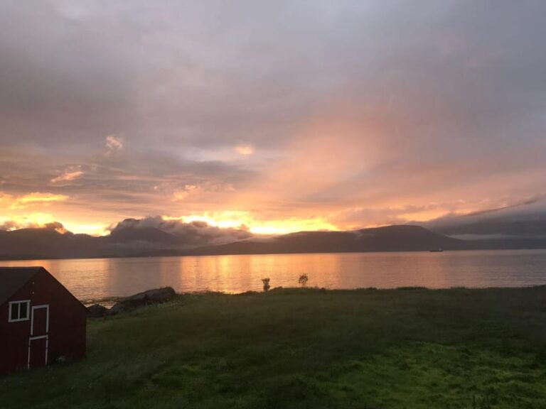 Tromsø: Norwegian farmvisit with guide