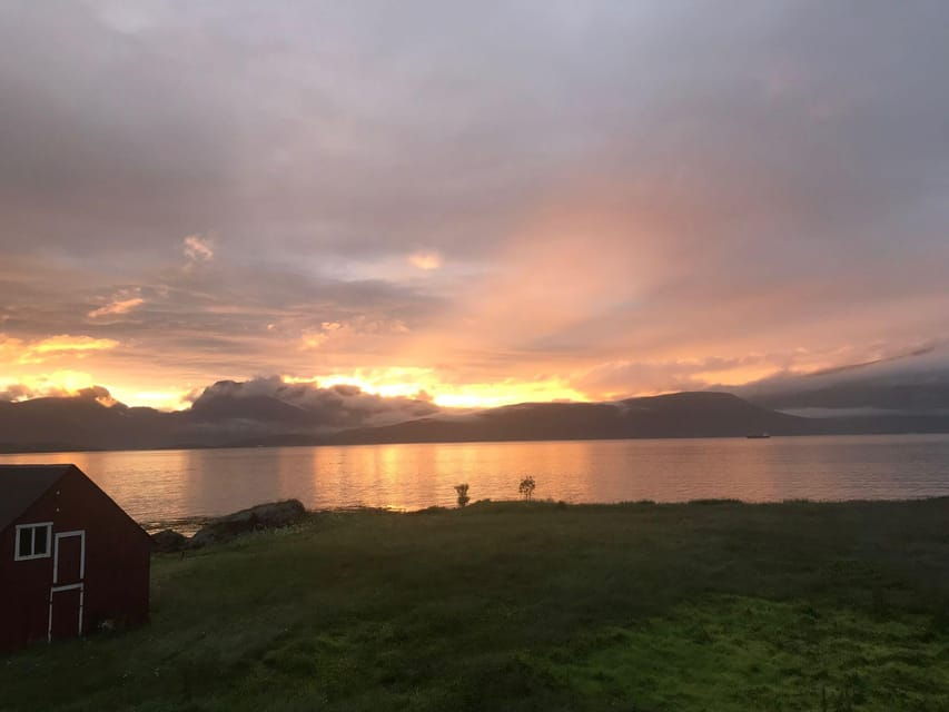 Tromsø: Norwegian farmvisit with guide - An In-Depth Look at the Tromsø Norwegian Farm Visit