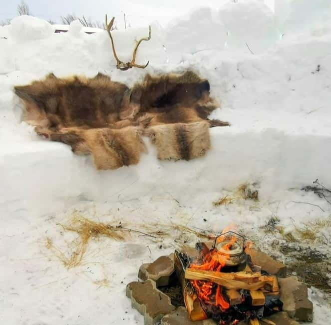 Tromsø: Snow Sledding, Mini Skiing, Lasso and Reindeer Hides - The Itinerary Breakdown