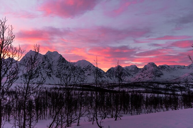 Tromso-Snowshoeing Excursion to Viewpoint - An In-Depth Look at the Tromso Snowshoeing Tour