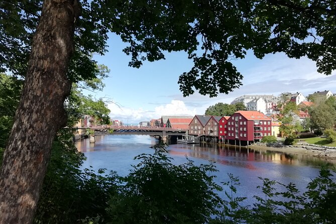 Trondheim: Discover the city of kings with a local guide - An In-Depth Look at What to Expect