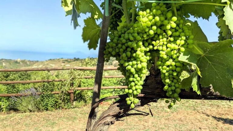 Tropea: Calabrian Cooking Class with Lunch