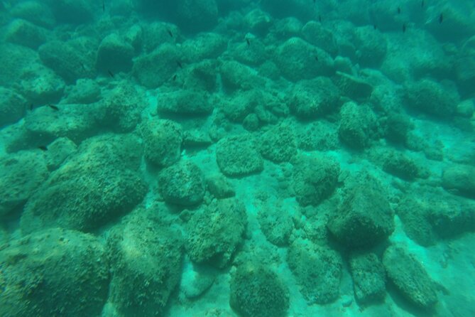 Tropea Zambrone Exclusive Boat Tour - An Up-Close Look at the Tropea Zambrone Exclusive Boat Tour