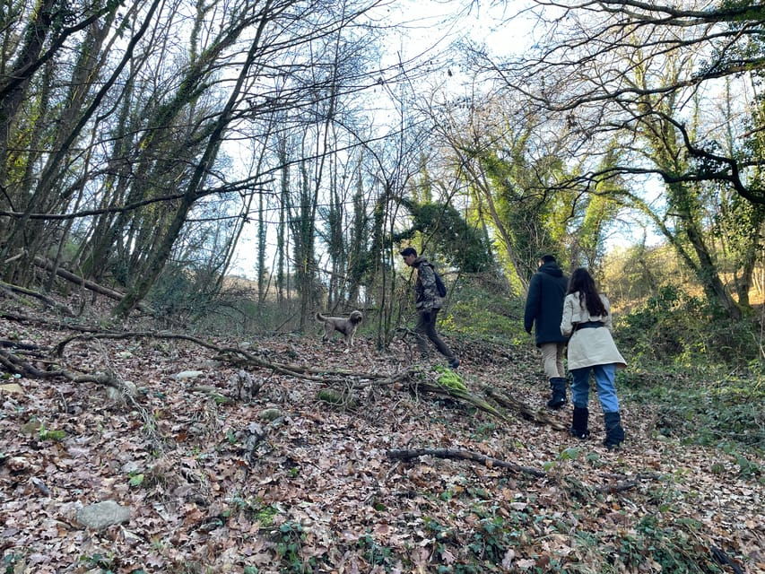 Truffle hunting in Chianti with pasta cooking class & lunch - Good To Know