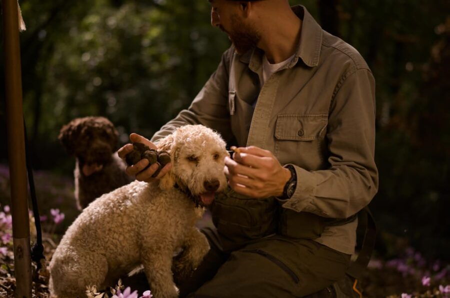 Truffle Hunting, Lunch & Cooking Class in Rome's Countryside - The Experience: A Day Beyond Rome