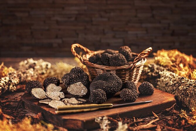 Truffle hunting tour from Rijeka