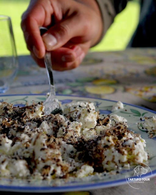 Truffle Tour Experience: caccia tartufo e degustazione