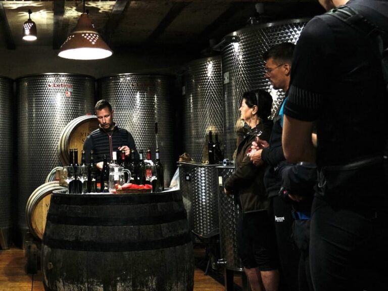 Tuheljske Toplice: Klanjec Wineries Tour by E-Bike