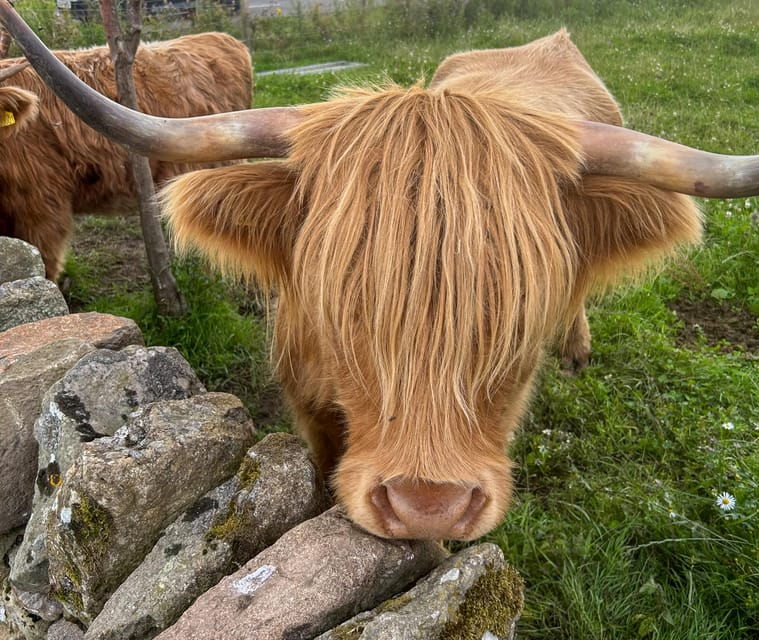Two Day Taster Tour of Skye and the Highlands