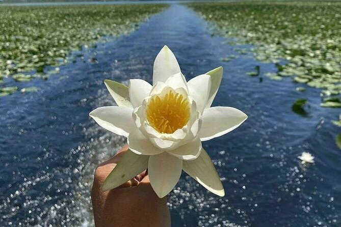 Two Hours Sightseeing Lake Cruise at Montenegro National Park - Discovering Skadar Lake: An Authentic Montenegrin Experience  