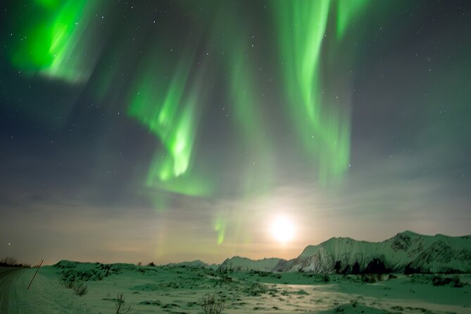 Ultimate Aurora Hunt Northern Lights Van Tour with Hot Drinks