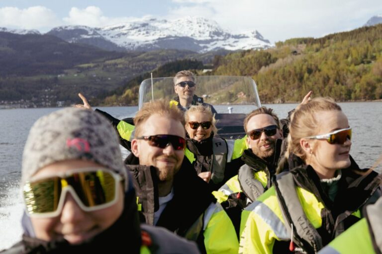 Ulvik: Hardangerfjord Ultimate RIB Safari