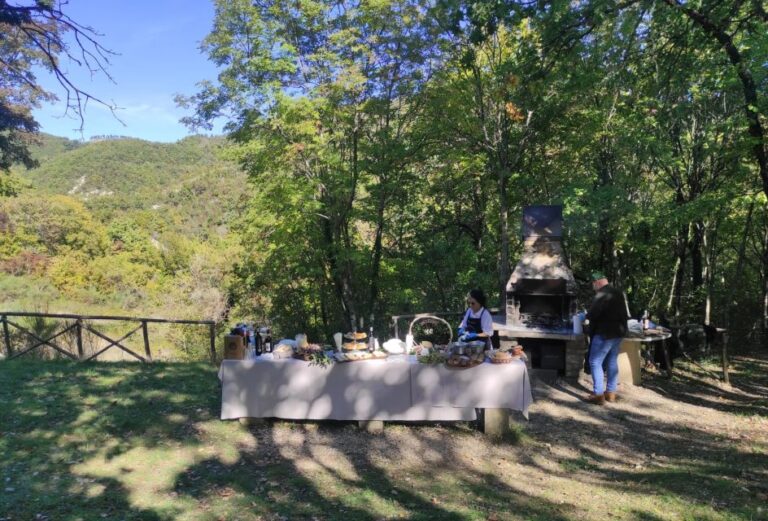 Umbria: Truffle hunting in the woods with lunch