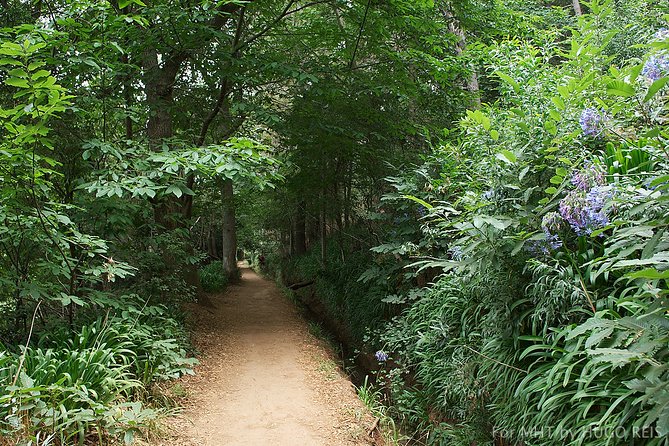 Vale Paraiso – Paradise Valley Walk