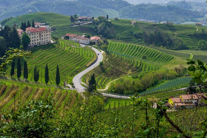 Valpolicella Wine and Olive Oil Tasting with Lunch from Verona - Exploring Valpolicella: A Land of Flavors and Heritage