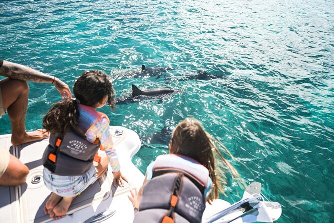 Venture Wildlife Snorkel Charter from Ko Olina - Who Should Consider This Tour?