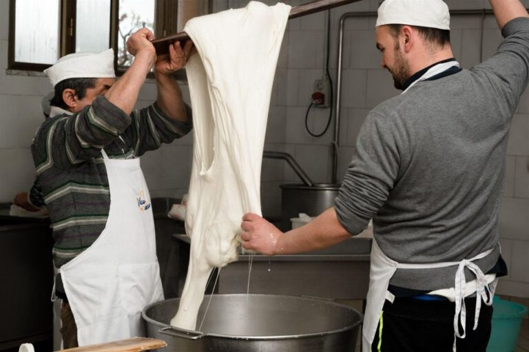 Vico Equense: Tour in the dairy “Mozzarella Experience”