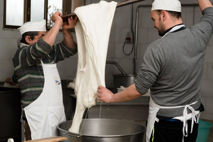 Vico Equense: Tour in the dairy "Mozzarella Experience" - Final Thoughts