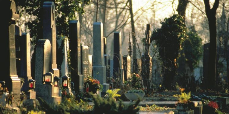 Vienna: Central Cemetery, guided walking tour with fascinating secrets