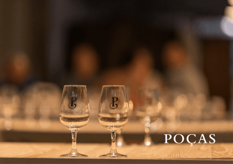 Vila Nova de Gaia: Winery Tour with 2 DOC Douro & 2 Ports