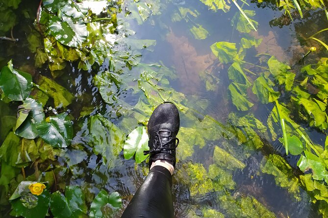 Vilnele River Walking Tour and Uzupis Experience - Final Thoughts