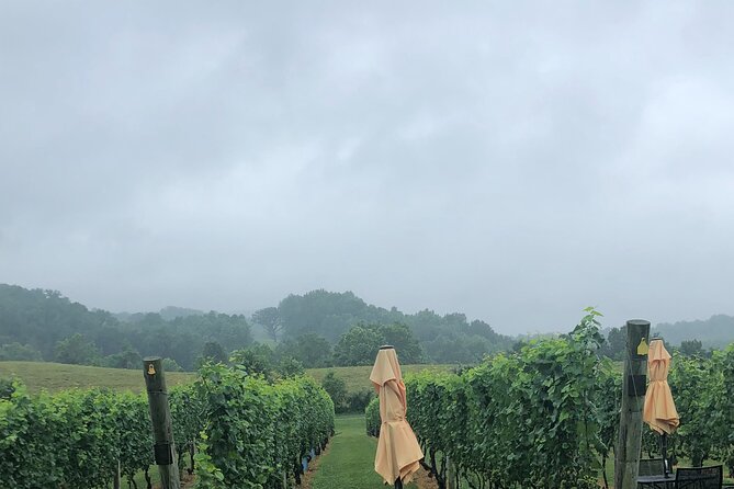 Virginia Winery Excursion by Luxury Vehicle Three wineries - An In-Depth Look at the Virginia Winery Excursion