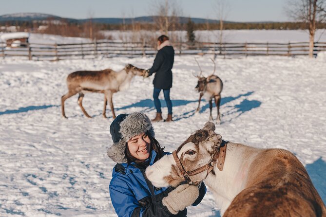 Visit the Sami and Reindeer in a Day Trip from Abisko - An In-Depth Look at the Tour Experience