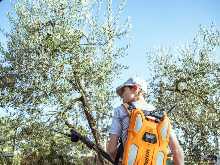 Volterra – Olive oil tasting with lunch or dinner
