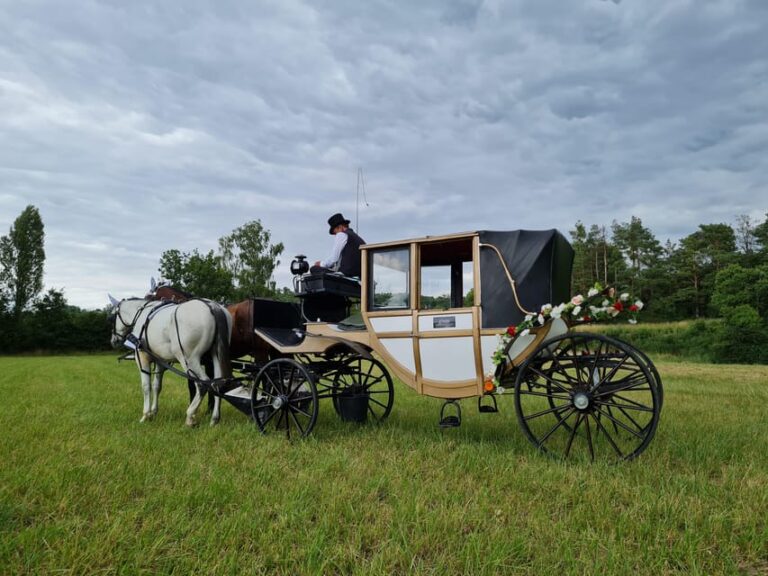 Wachau porcelain carriage A sparkling carriage ride through the vineyards