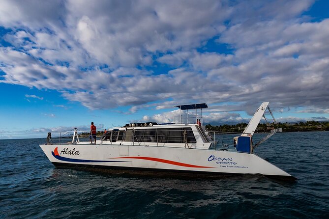 Wake up with the Whales Cruise from Kawaihae Harbor - Why This Tour Offers Good Value