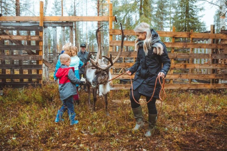 Walk with Reindeer