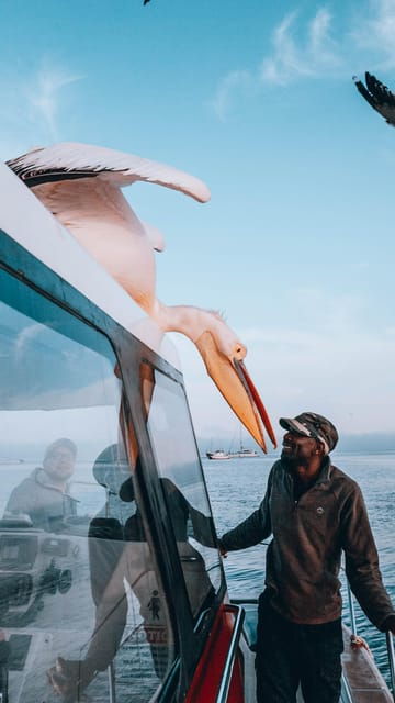 Walvis Bay: Dolphin Cruise, Pink Lakes and 4x4 Dune Drive - Final Thoughts