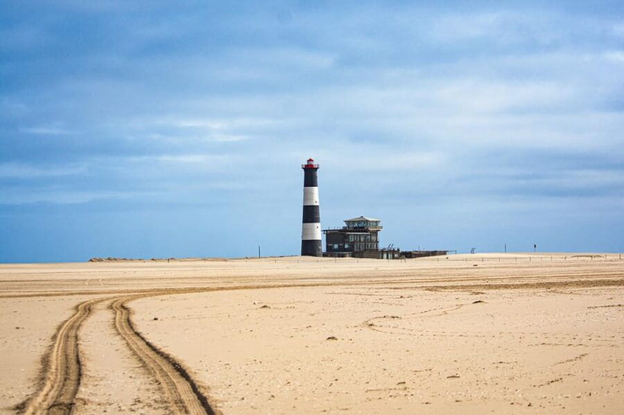 Walvis Bay : Pelican Point Birding and Cape Fur seal tour - Introduction to the Walvis Bay Pelican Point Tour