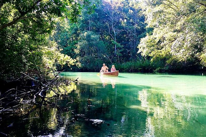 Weeki Wachee kayaking - Good To Know