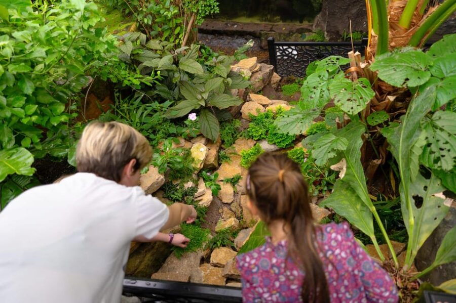 West Berkshire,UK: The Living Rainforest Centre Entry Ticket - What Is The Living Rainforest Centre?