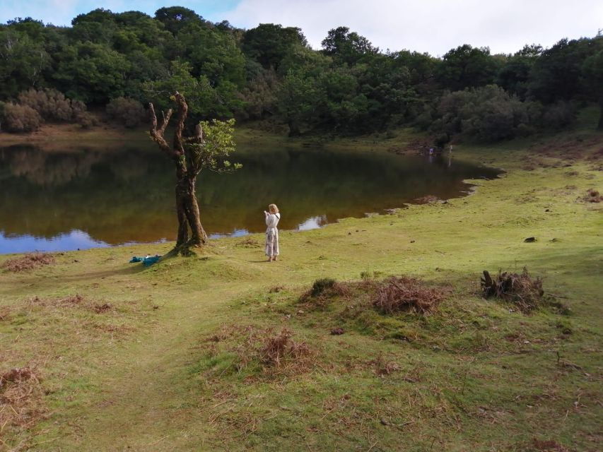 West Madeira:, Laurel Forest, Waterfall, Rock Pools, Walk - An In-Depth Look at the Tour Experience