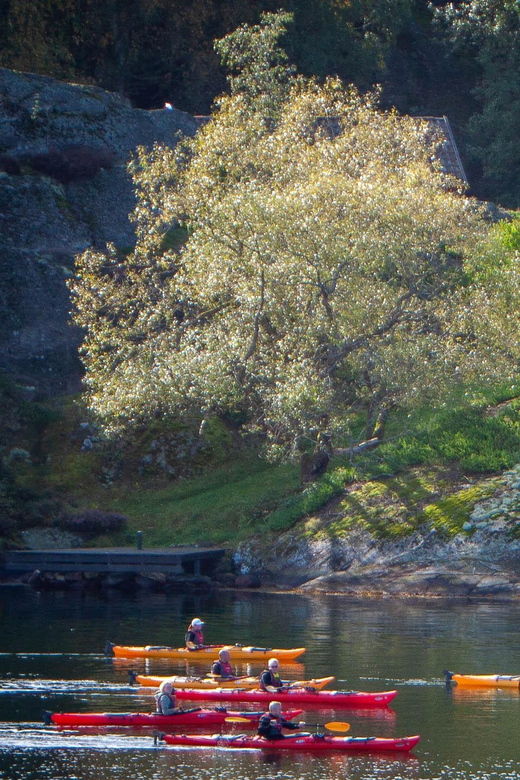 West Sweden: Sea Kayak Delight in Nature Reserves