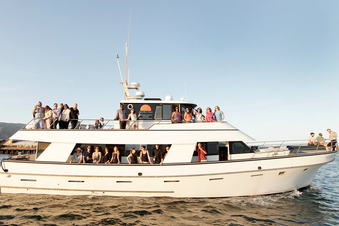 Whale and Wildlife Yacht Cruise in Santa Barbara - An In-Depth Look at the Santa Barbara Whale and Wildlife Cruise