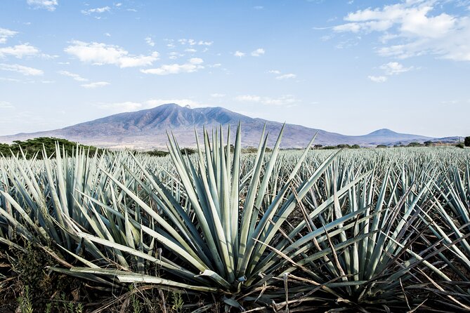 White Sands National Park Self-Guided Driving & Walking Tour