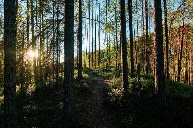 Wilderness Survival Tour - Summer & Autumn - The Value of the Experience: Why It’s Worth Considering  